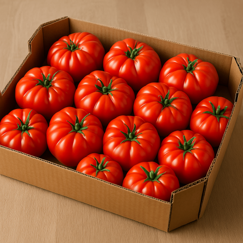 Tomate coeur de boeuf 2 Tomate coeur de boeuf 2